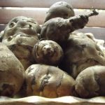 A verhetetlen négyes