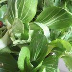 Karamellizált hagyma almával