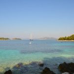 Chilis gyömbéres kacsamell barackkal