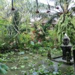 Miért éppen Bali? 4. rész